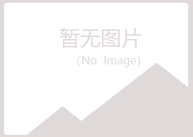 偃师夜山能源有限公司